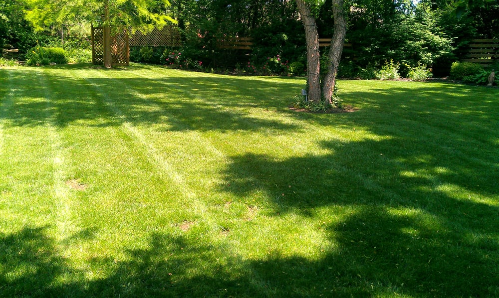 Photo of SK Lawn Care