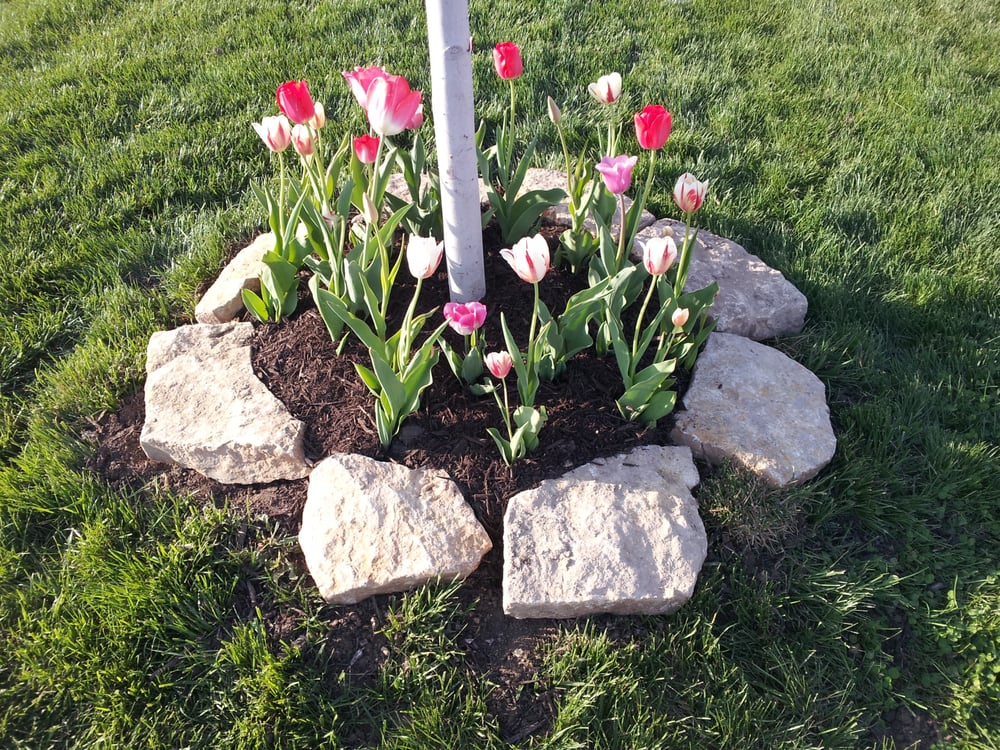 Photo of SK Lawn Care
