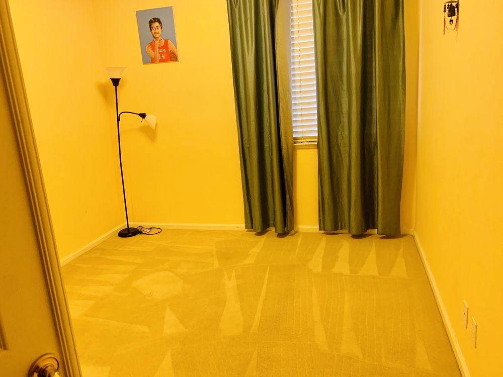 Photo of TriStar Carpet Cleaning