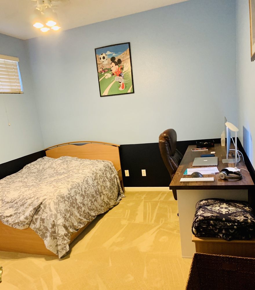 Photo of TriStar Carpet Cleaning