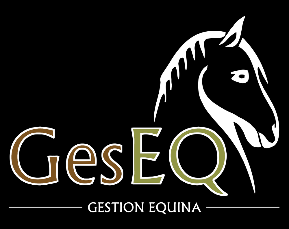 Photo of GesEQ