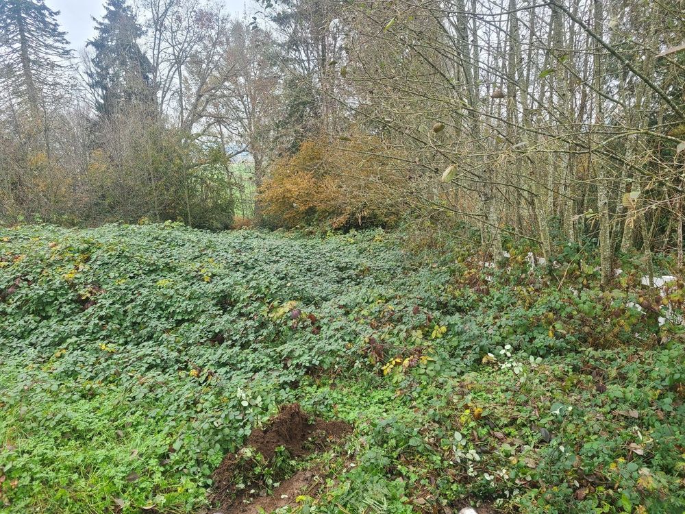 Photo of NW Land Management
