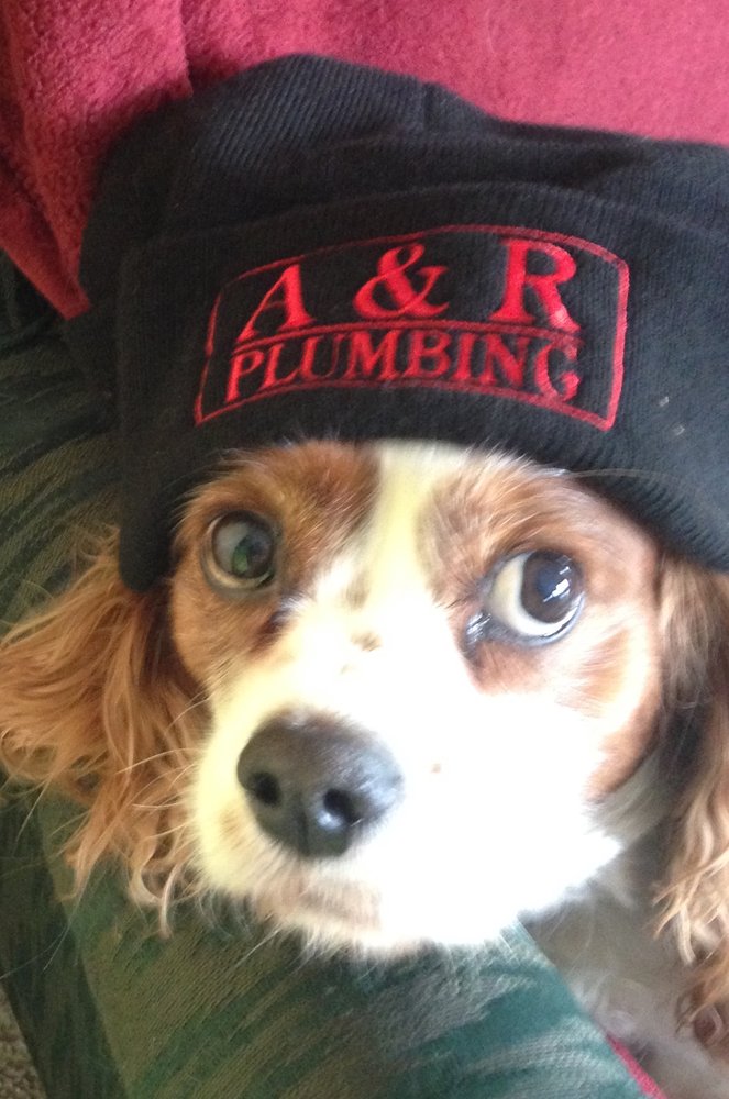 Photo of A & R Plumbing