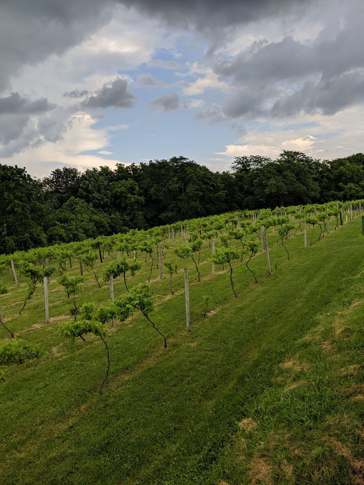 Photo of Summerset Winery