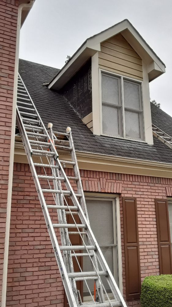 Photo of Pro Painters