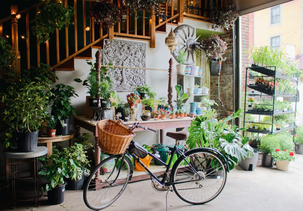 Photo of Urban Jungle
