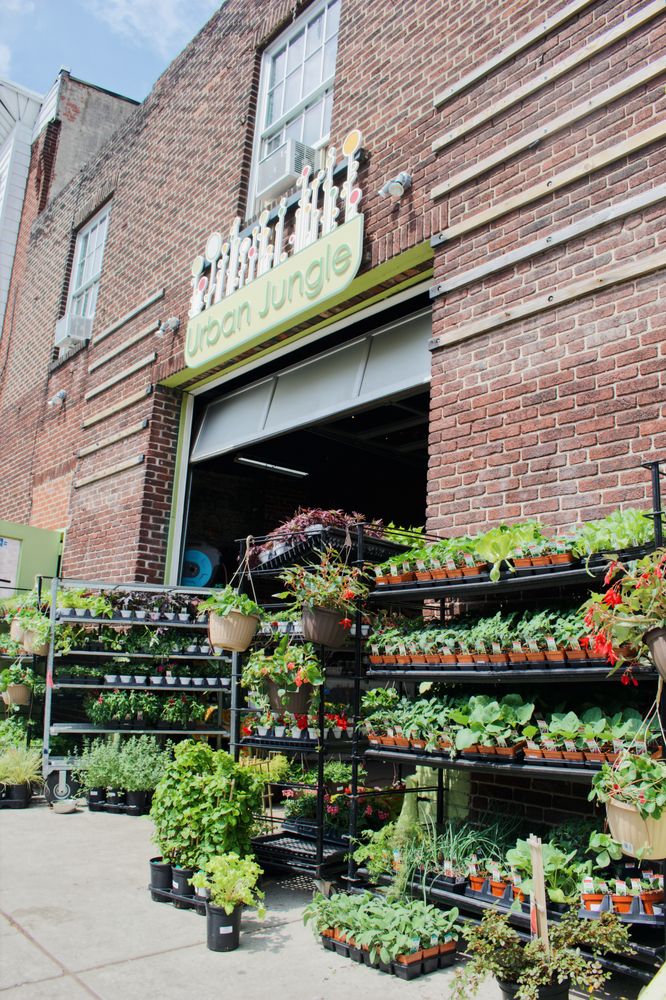 Photo of Urban Jungle