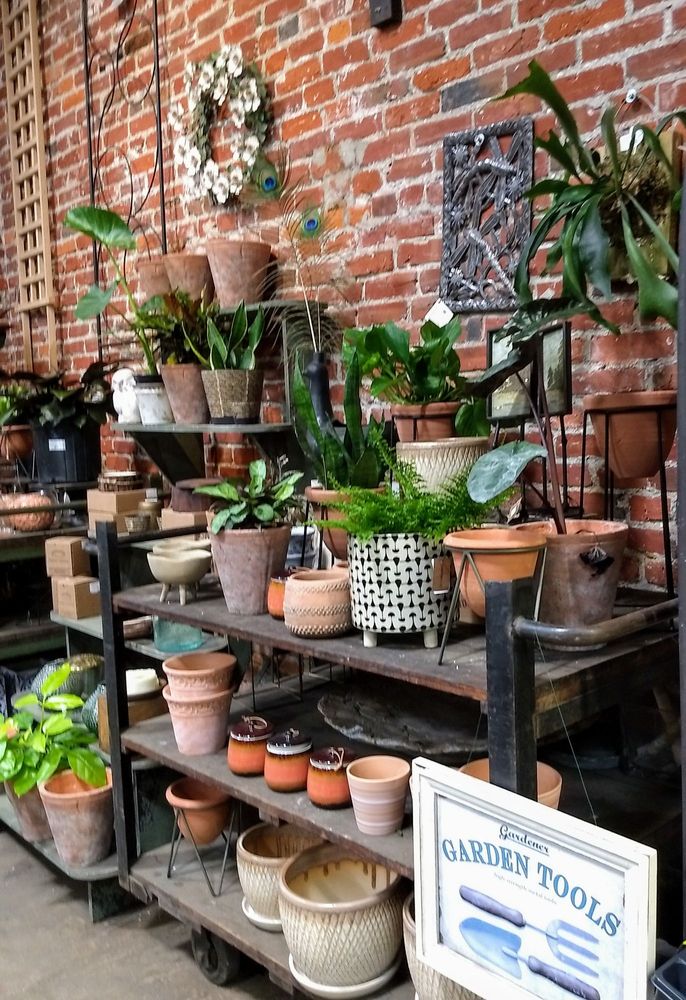 Photo of Urban Jungle