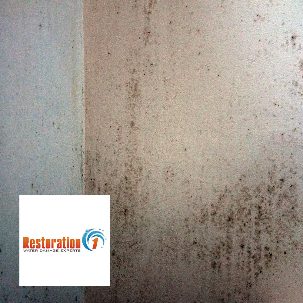Photo of Restoration 1 of Irvine