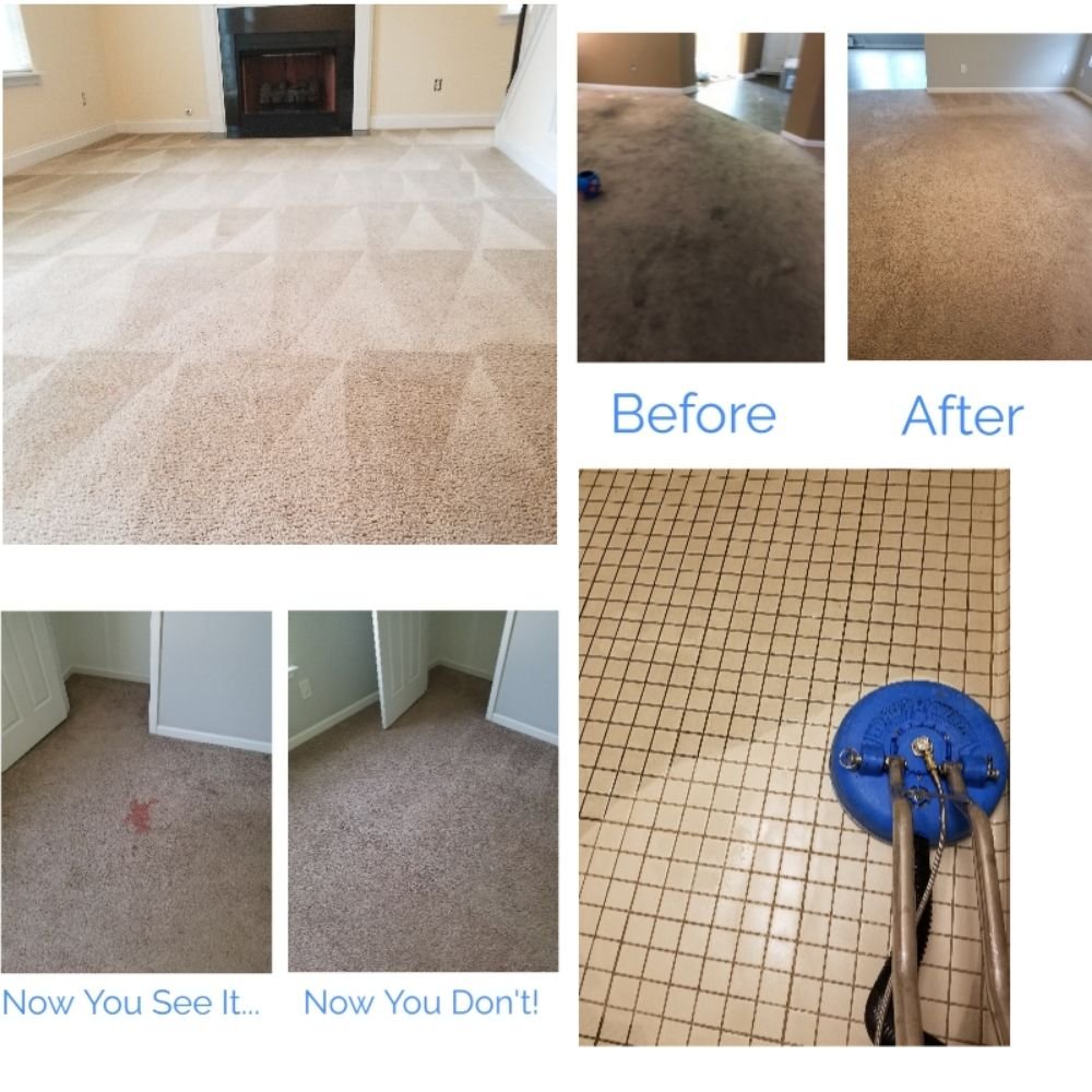 Photo of Palmetto Stone and Carpet Care