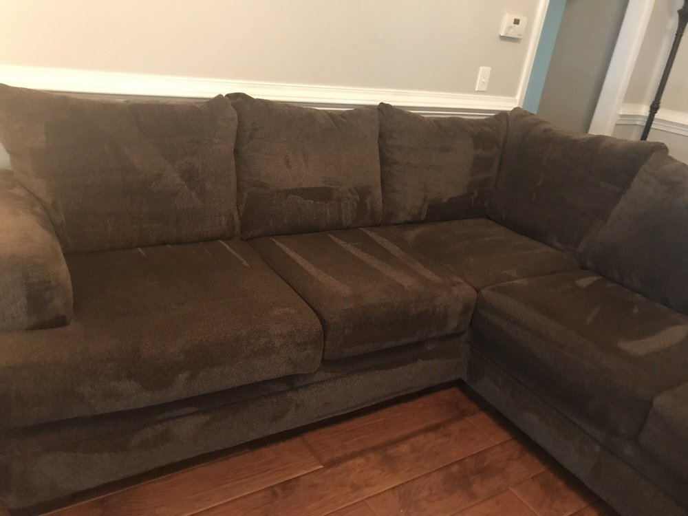 Photo of Palmetto Stone and Carpet Care