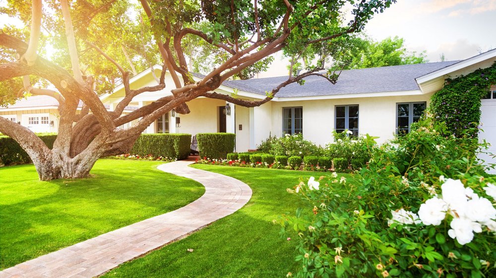 Photo of Lawn & Pest Solutions