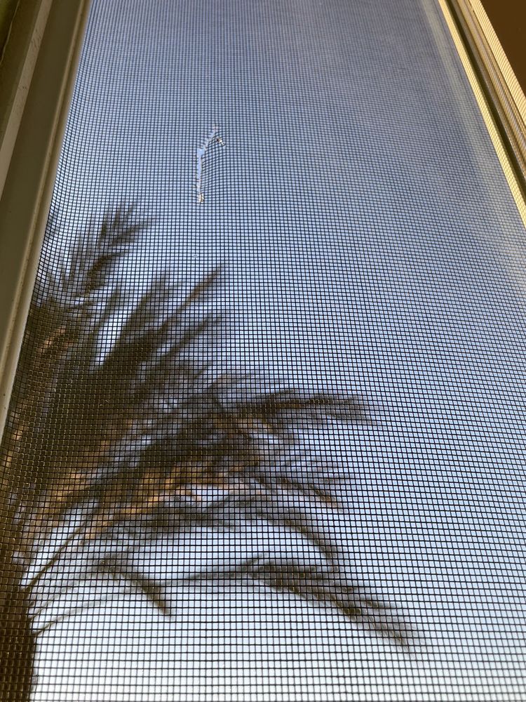 Photo of HB Window Washing