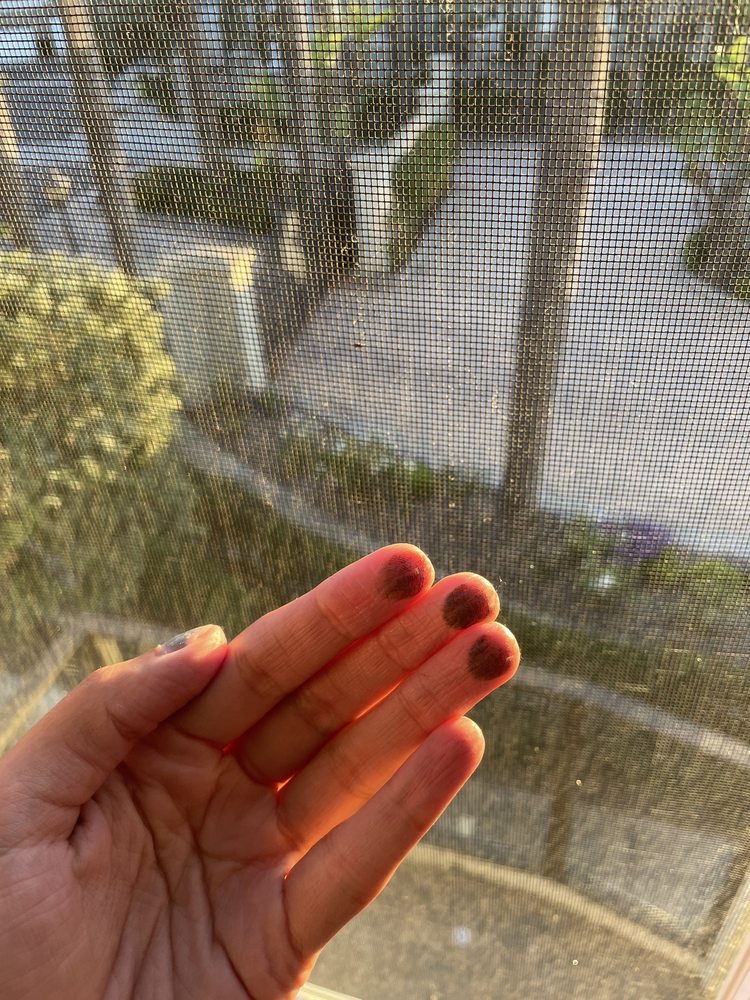 Photo of HB Window Washing