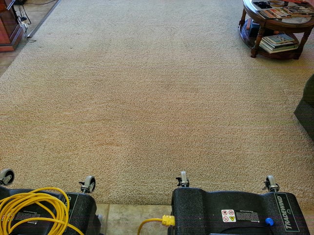 Photo of Randall Carpet Care