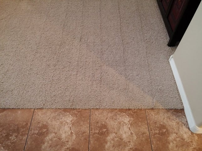 Photo of Randall Carpet Care