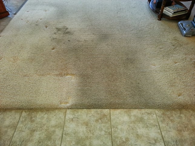Photo of Randall Carpet Care