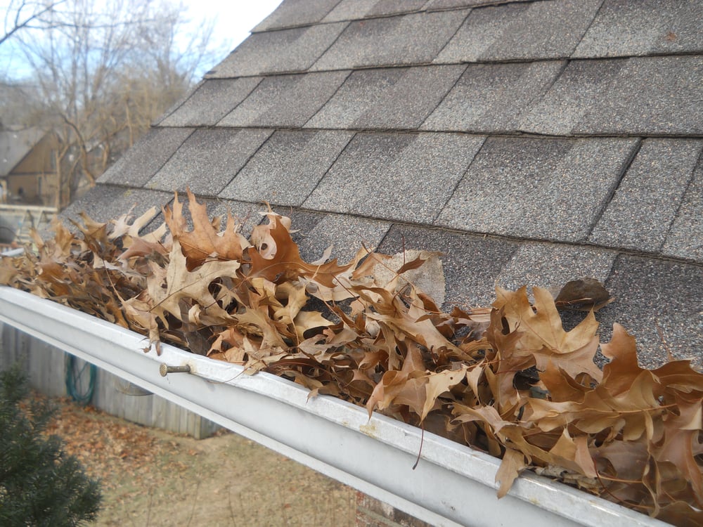 Photo of Dynamic Gutter & Cover