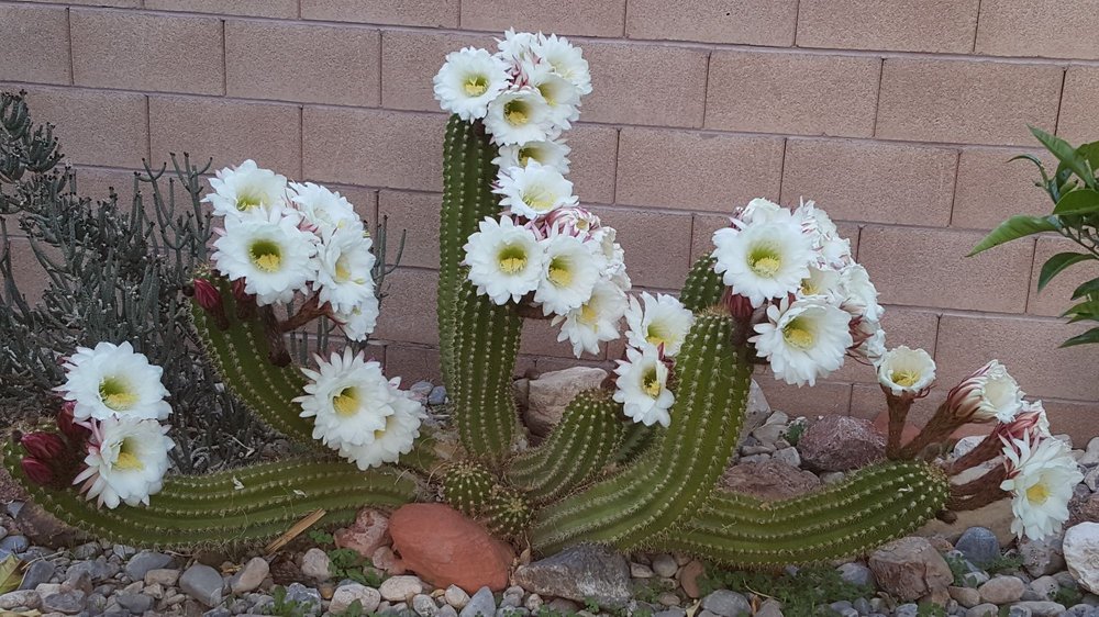 Photo of Schilling Horticulture Group