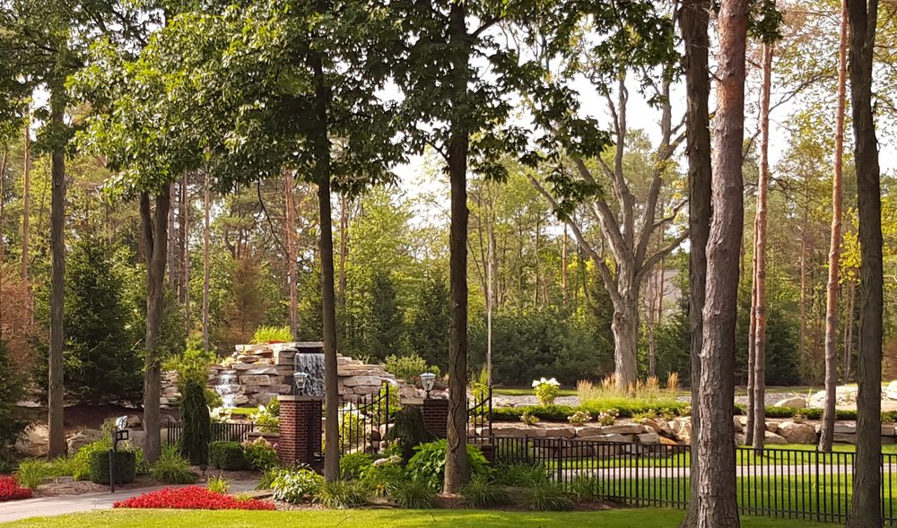 Photo of Sirco Scape