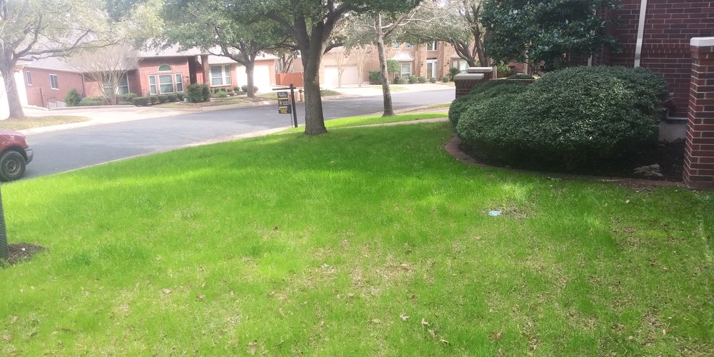 Photo of E. Wilson's Landscaping