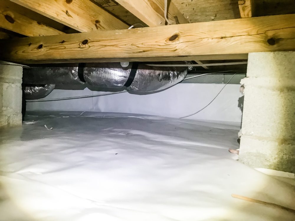 Photo of Back Bay Pest & Mosquito