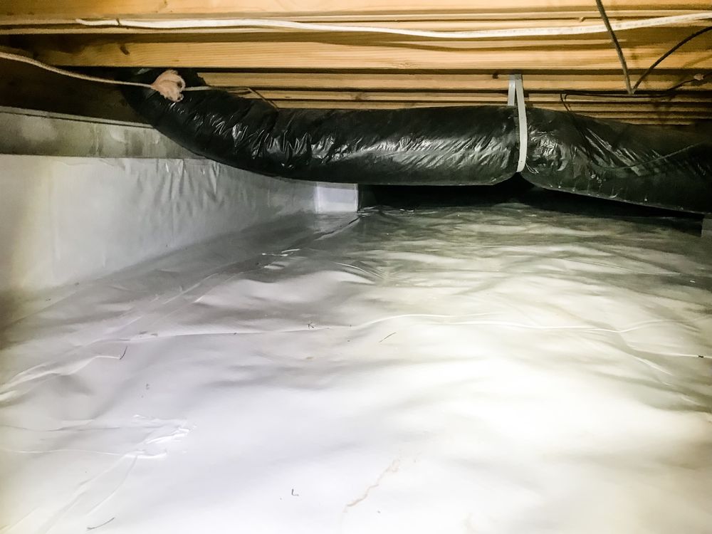 Photo of Back Bay Pest & Mosquito