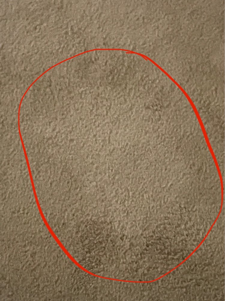 Photo of Chem-Dry of Brentwood