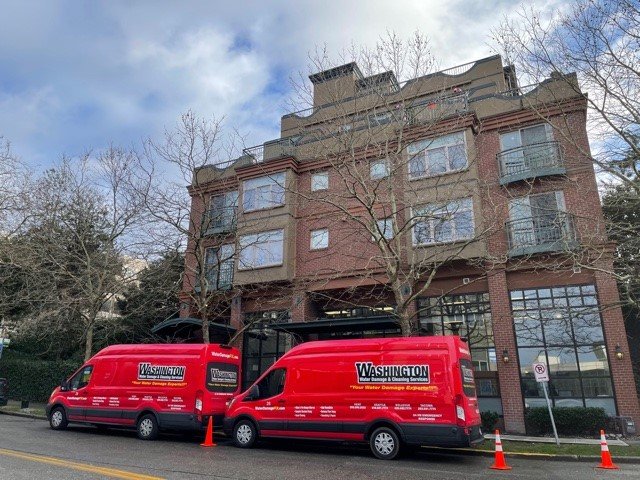 Photo of Washington Water Damage & Cleaning Services
