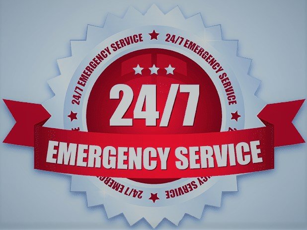 Photo of Washington Water Damage & Cleaning Services
