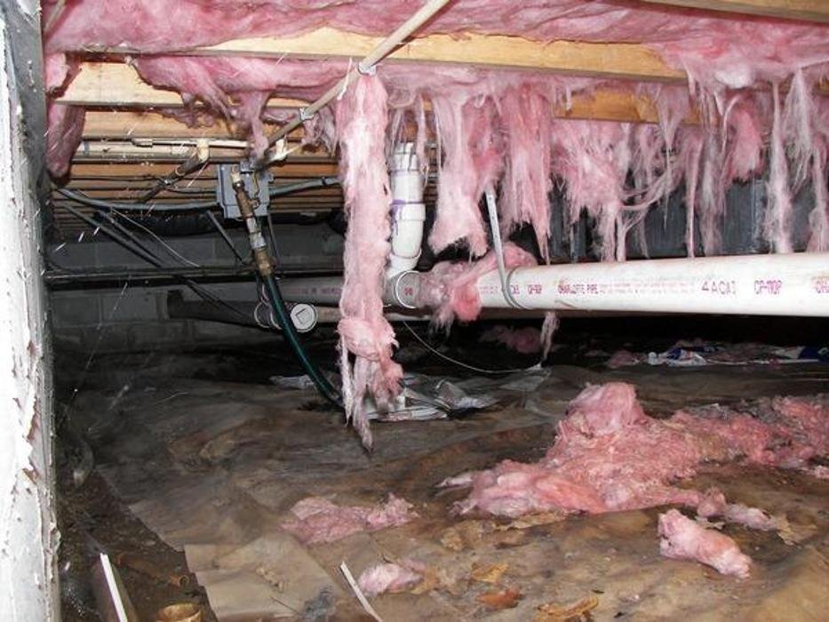 Photo of Specialized Foam and Coatings