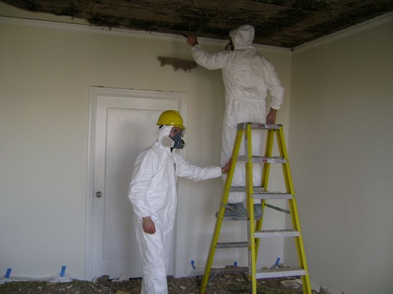 Photo of MOLD-OUT Services