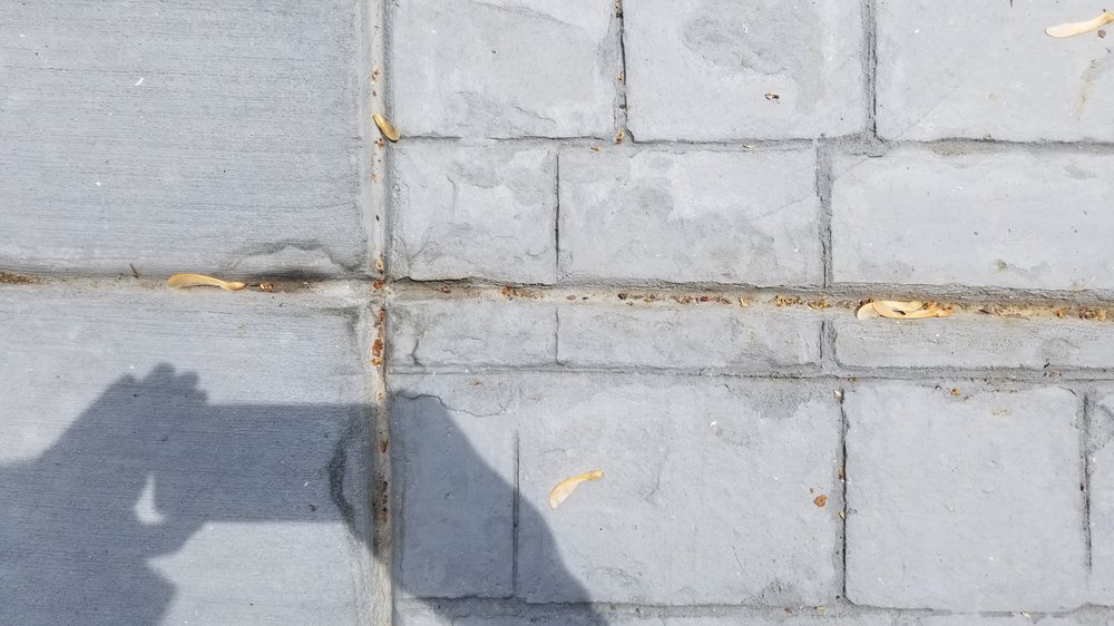 Photo of Madewell Concrete - Charlotte