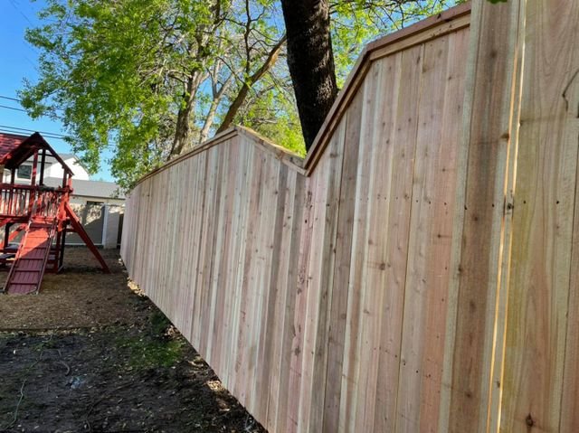 Photo of DWM Lawn & fence