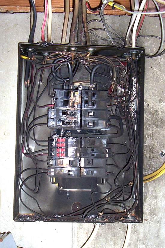 Photo of The Electrical Guy