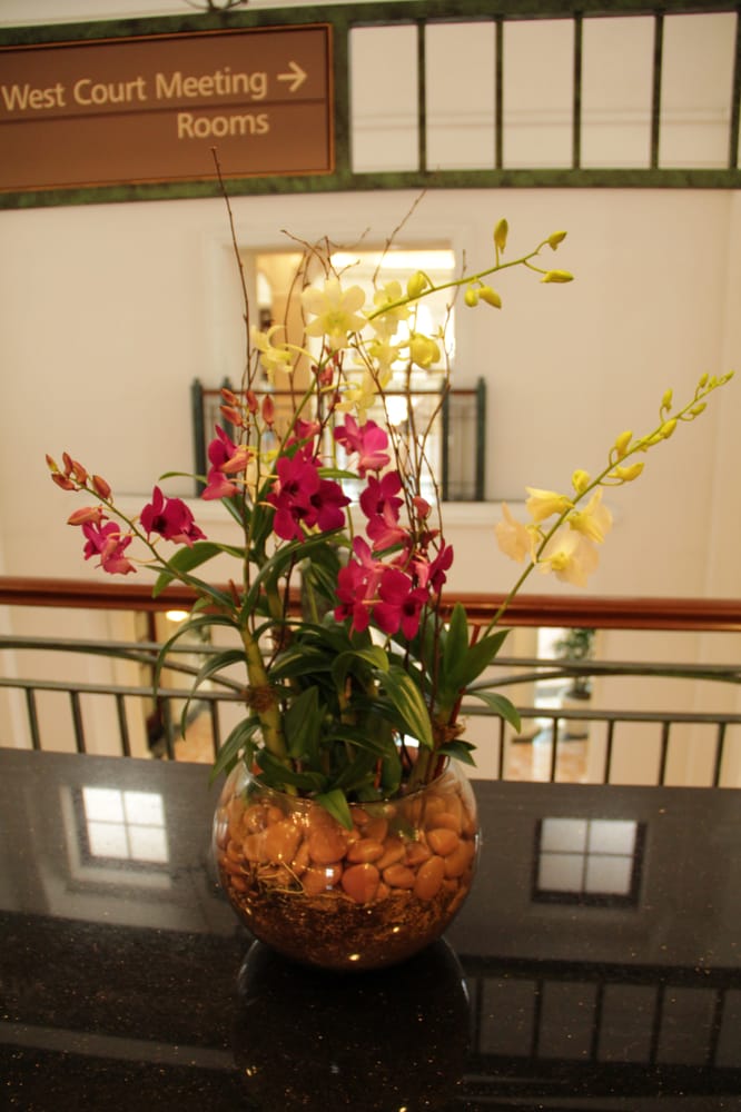 Photo of Unique Foliage
