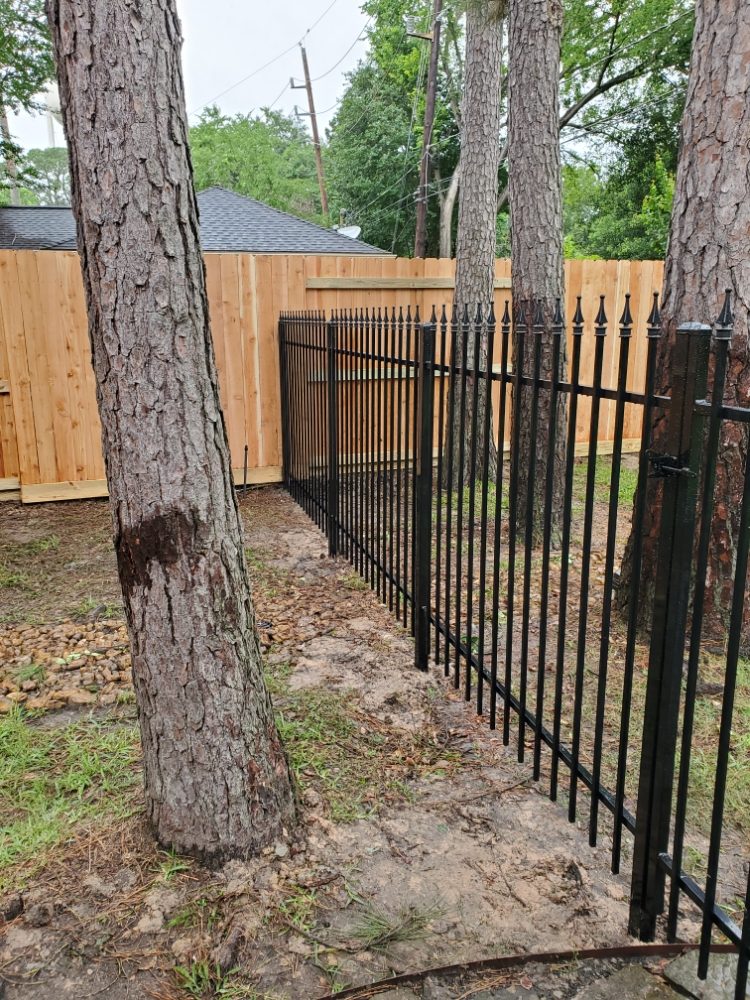 Photo of 3 Generation Fencing