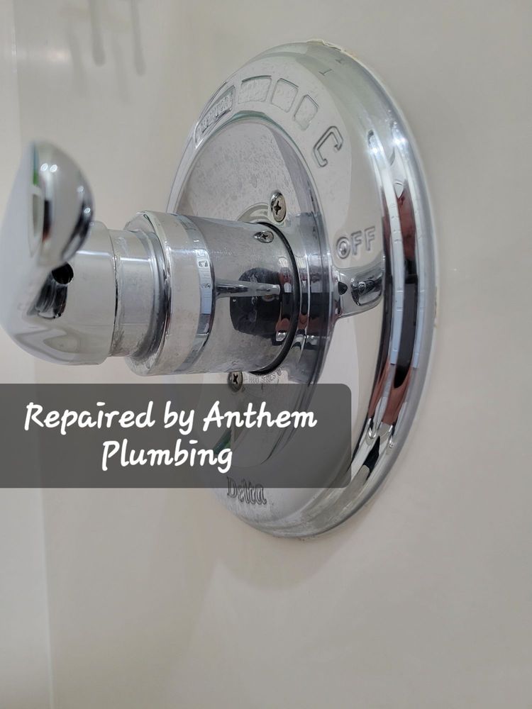 Photo of Anthem Plumbing