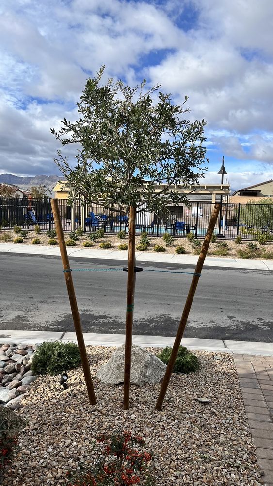 Photo of Great Landscaping And Maintenance