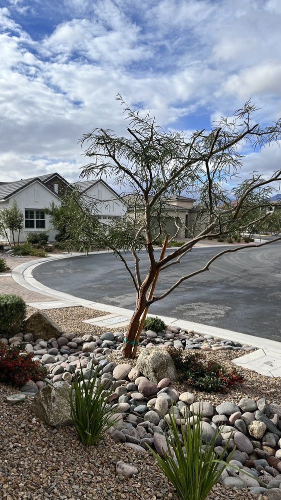 Photo of Great Landscaping And Maintenance