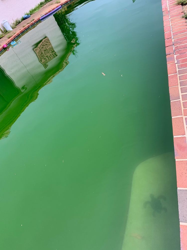 Photo of Suburban Pools