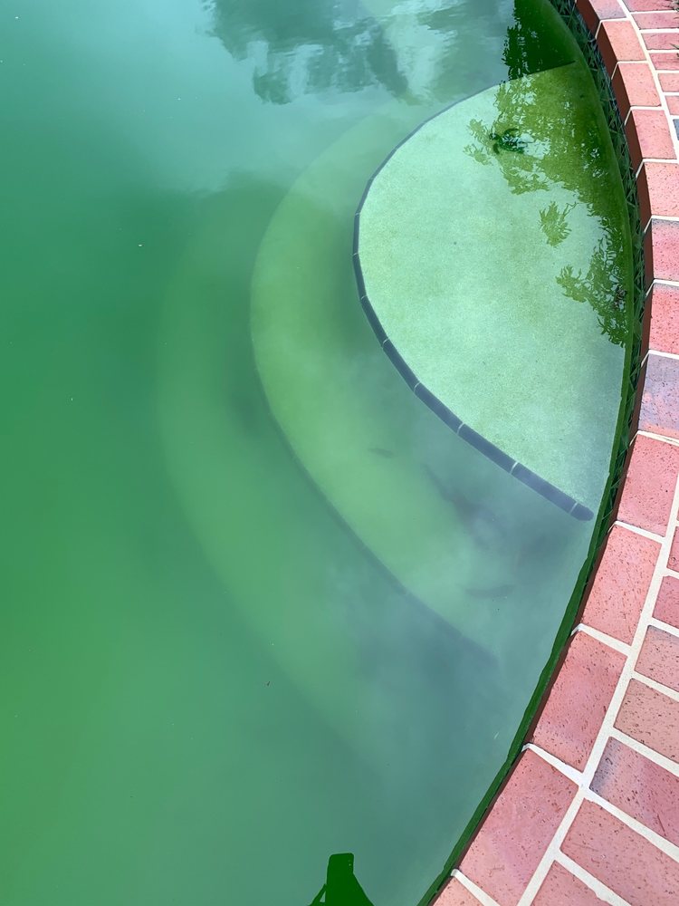 Photo of Suburban Pools
