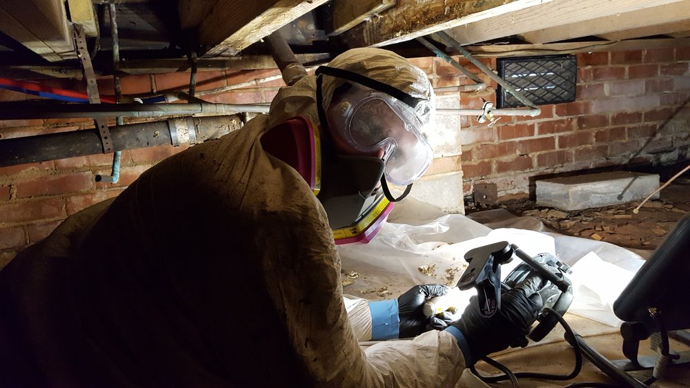 Photo of Disaster Removal & Cleanup Services