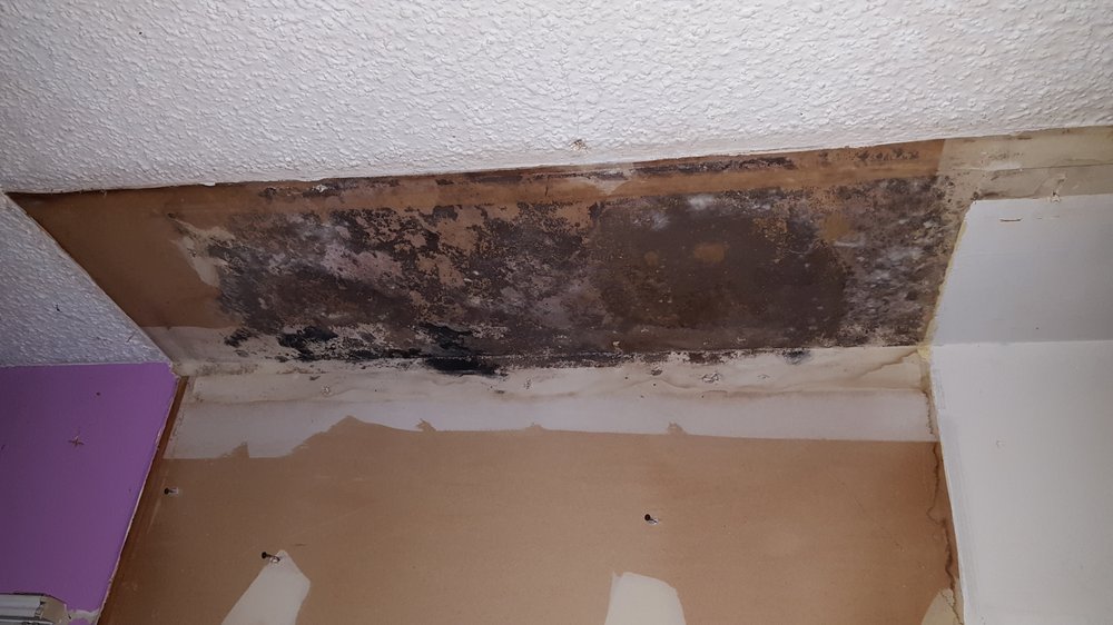Photo of Disaster Removal & Cleanup Services