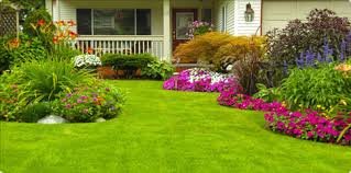 Photo of A Classic Cut Lawn Service