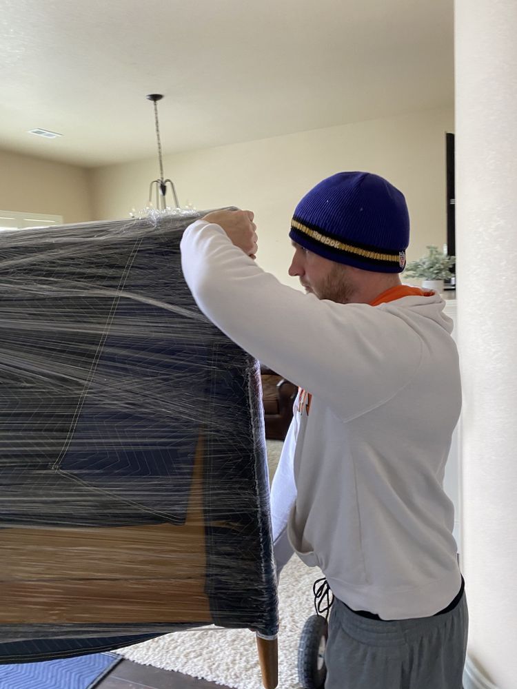 Photo of Fantastic Movers