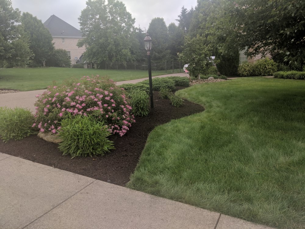 Photo of KP Leaf and Lawn