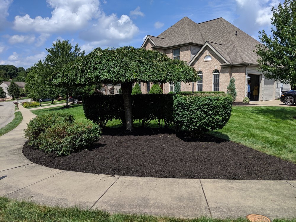 Photo of KP Leaf and Lawn