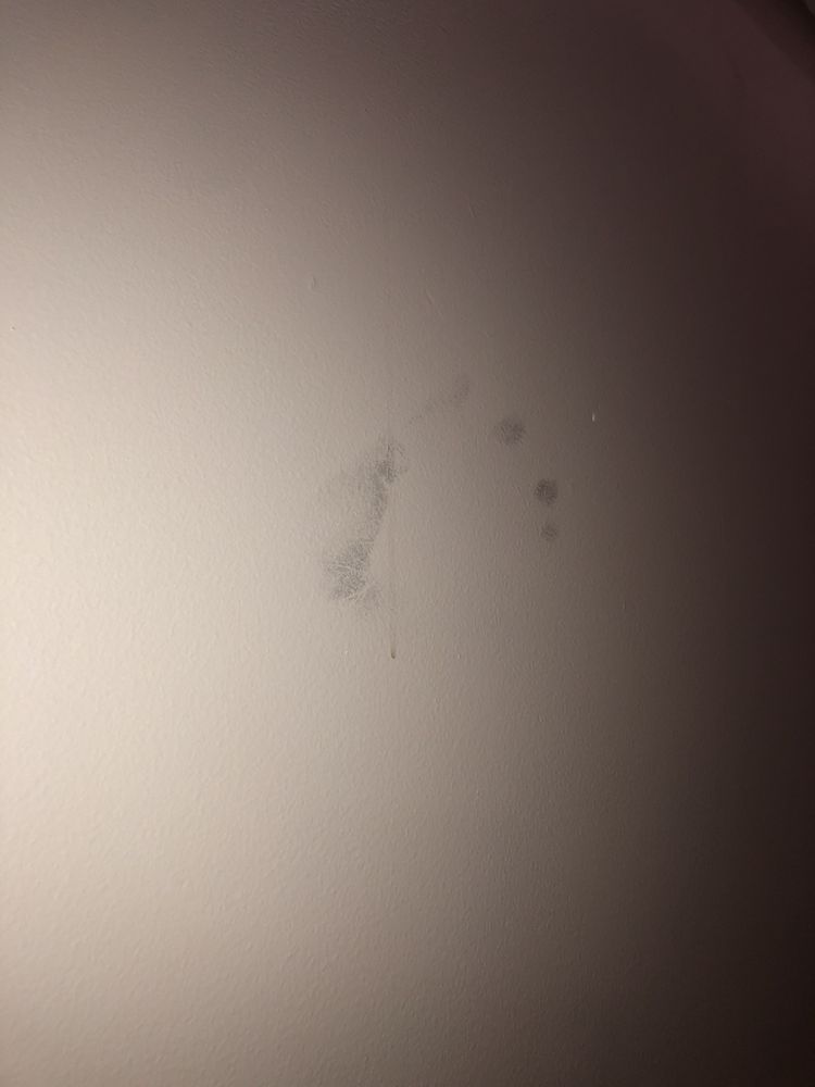 Photo of Galaxy Countertops