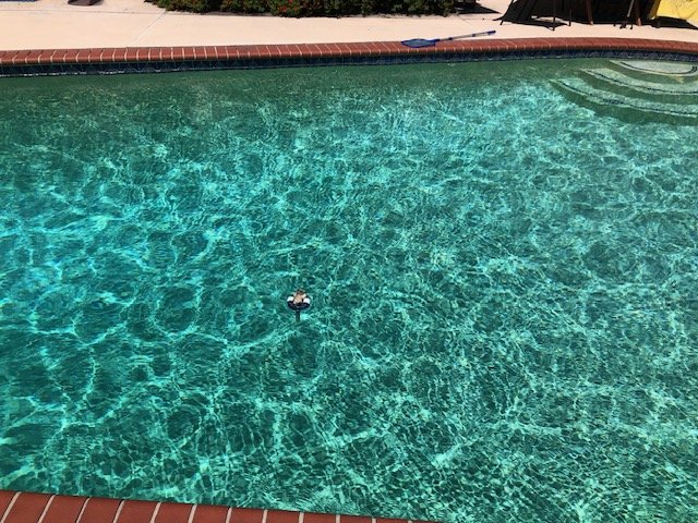 Photo of Commander Pools